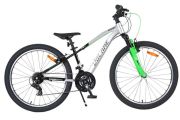 Volare Boost Kinderfiets - 24 inch - 21 Speed - Zilver/Groen