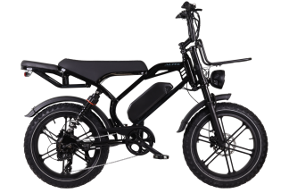 Altec Arion E-Bike Fatbike 20inch HYD Black *Accu 800089 RRR