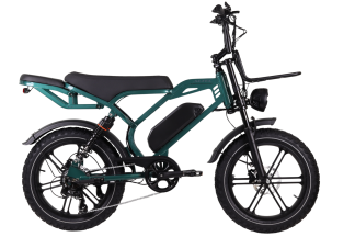 Altec Arion E-Bike Fatbike 20inch HYD Green *Accu 800089 RRR