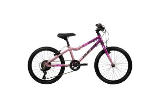Literide Kinderfiets - Meisjes - 20 inch - Paars/Roze - Twee handremmen
